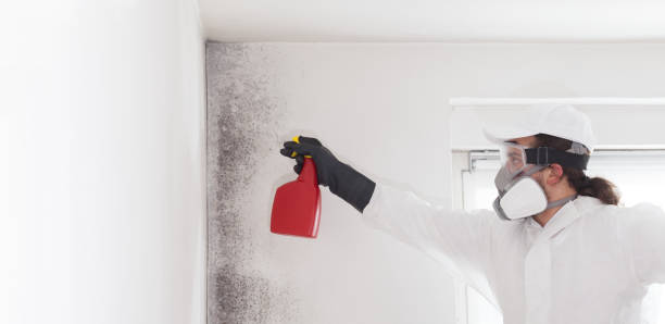 Best Office Mold Removal Services  in Arizona City, AZ